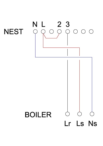nest Model (1).jpg
