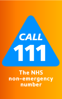 NHS-111-orangeBG-250x400.jpg