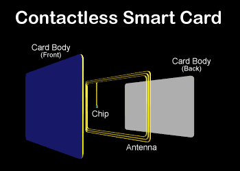 nocontactcard.gif