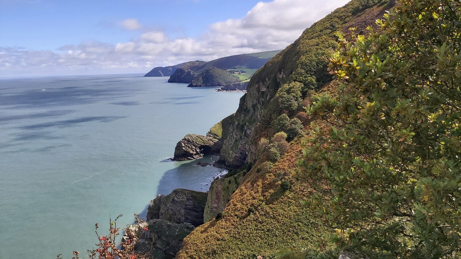 North Devon Coastal path.jpg