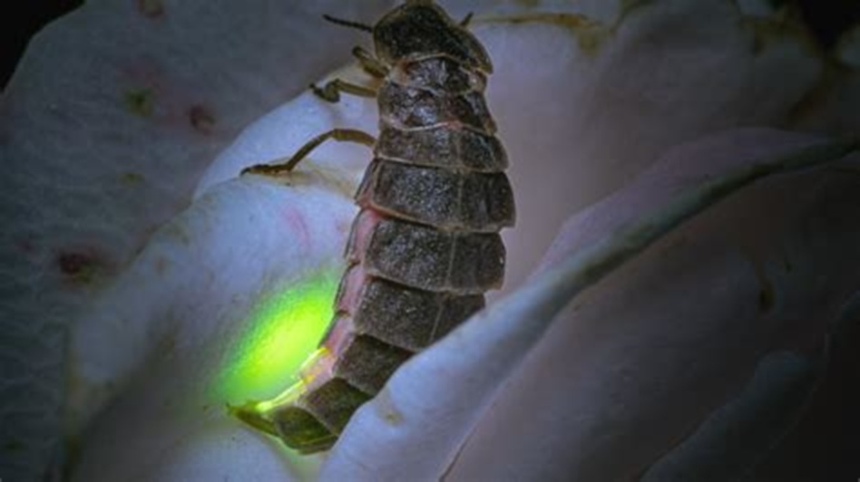 OIP-1344400464.jpg