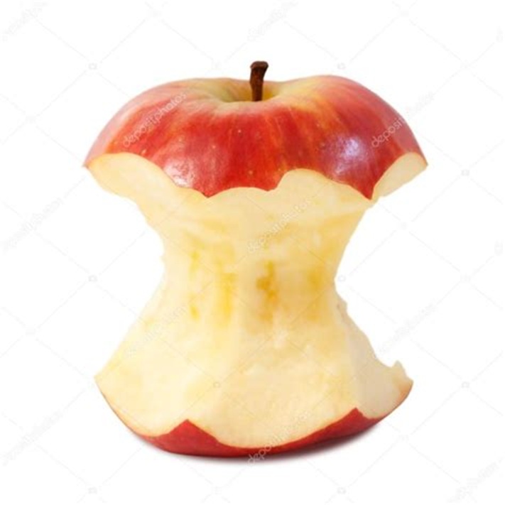 OIP-1520914272.jpg
