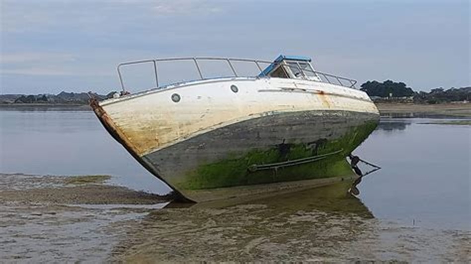 OIP-2782354982.jpg