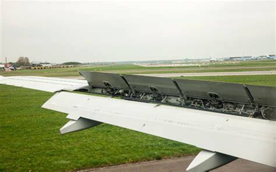 OIP-3019616818.jpg