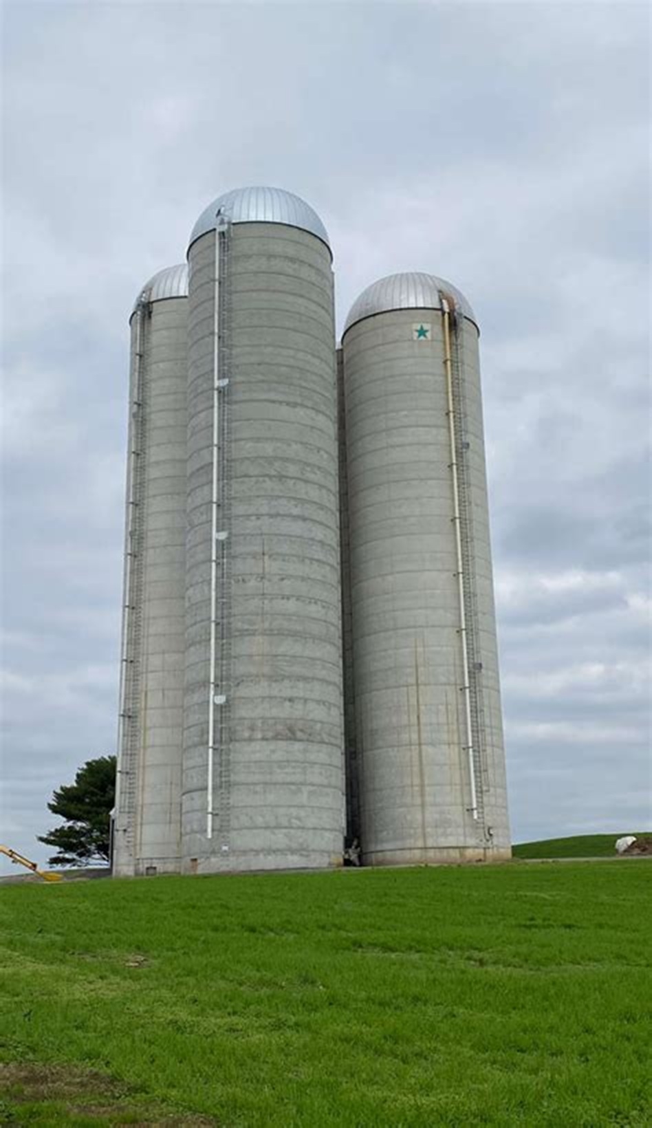 OIP-452037362.jpg