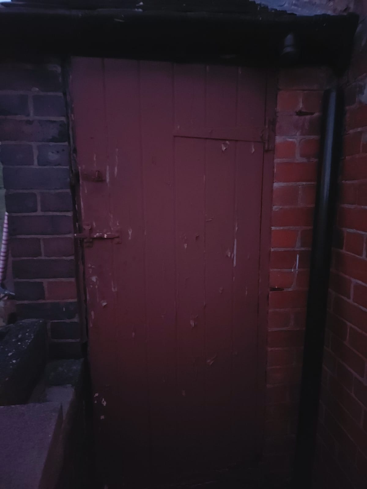 outhouse door.jpeg