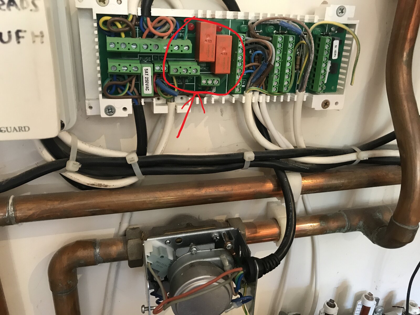 Photo 01-10-2020, 10 32 04 am.jpg