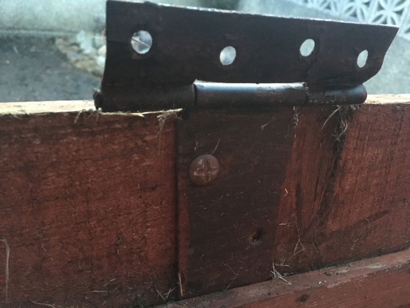 Photo 02-10-2016, 6 59 34 pm.jpg