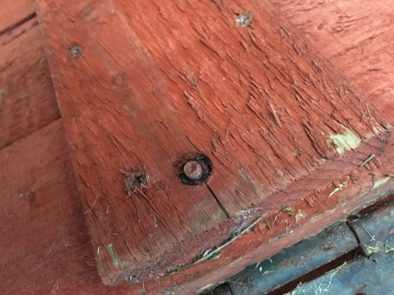 Photo 02-10-2016, 6 59 41 pm.jpg