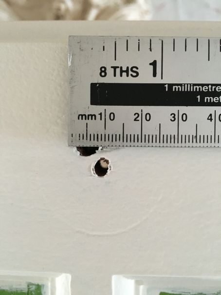 Photo 12-07-2016, 8 06 18 pm.jpg