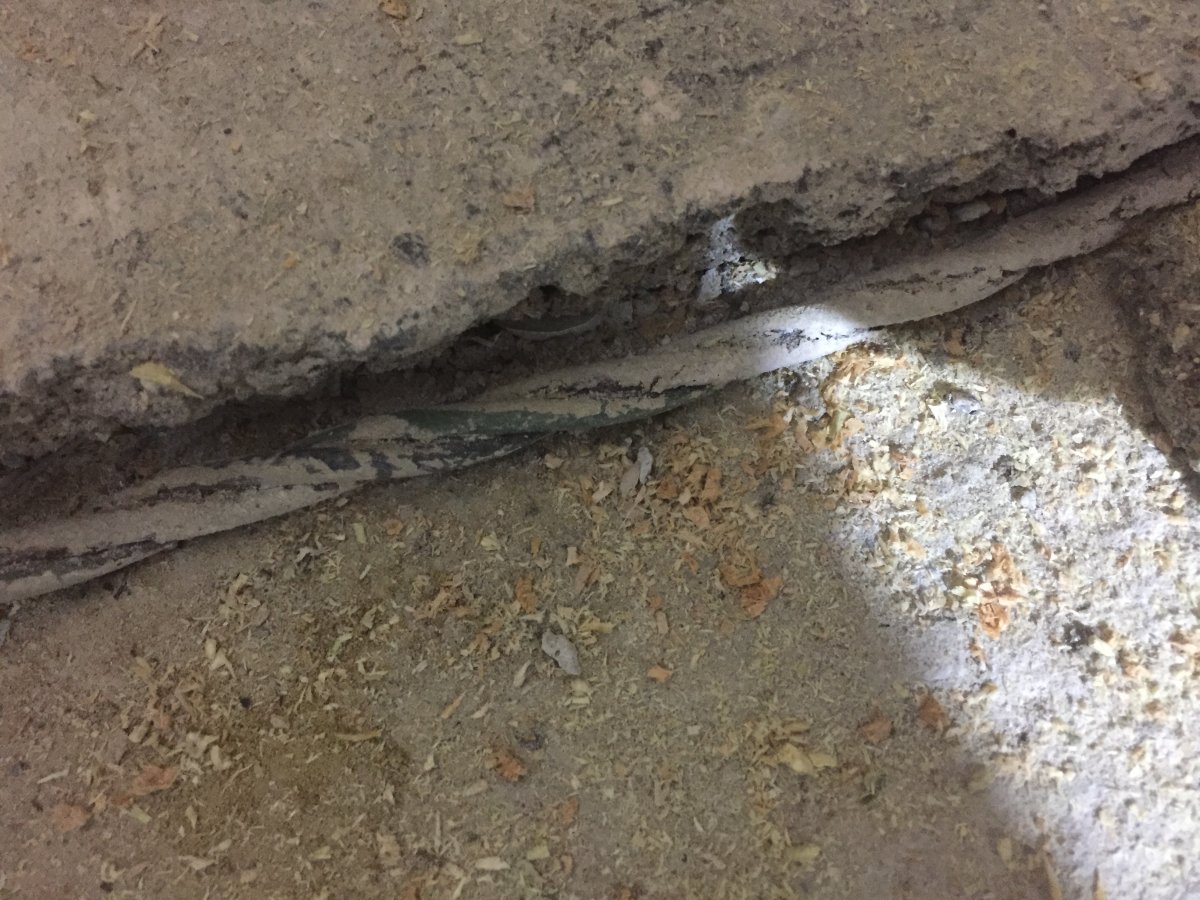 Photo 15-01-2017, 12 11 06.jpg