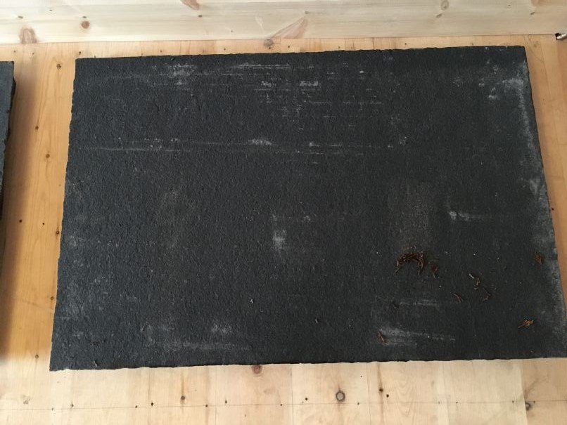 Photo 17-01-2016, 8 43 13 am.jpg