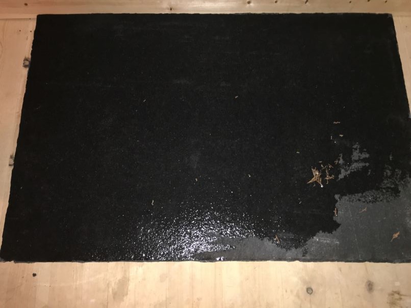 Photo 18-01-2016, 8 37 39 pm.jpg