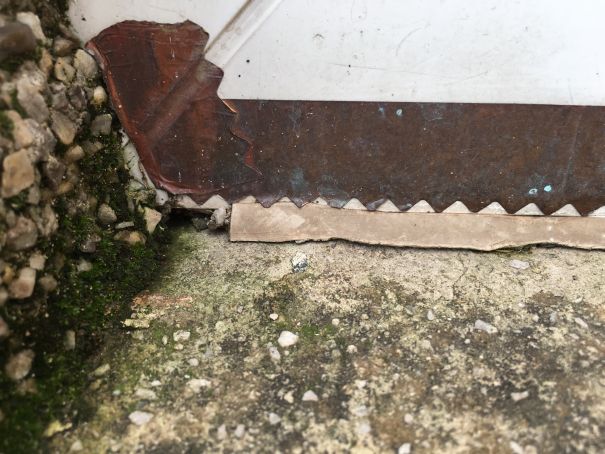 Photo 20-12-2015, 12 06 05 p.m. (1).jpg