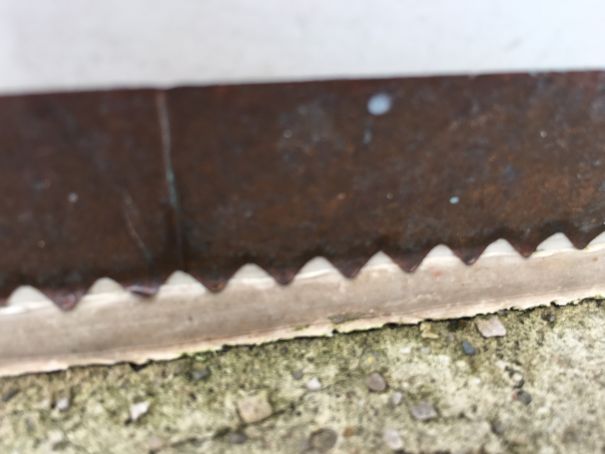 Photo 20-12-2015, 12 06 19 p.m. (1).jpg