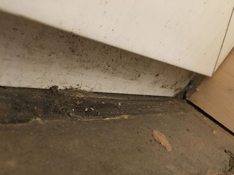 Photo 20-12-2015, 6 04 08 p.m..jpg