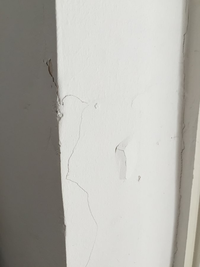 Photo 21-02-2016, 10 51 54.jpg