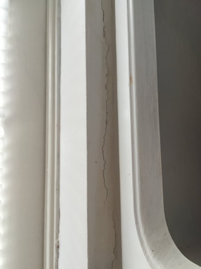 Photo 21-02-2016, 10 52 14.jpg