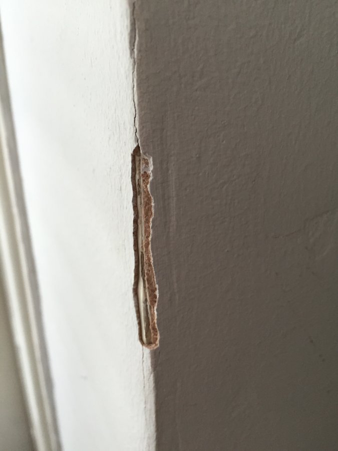 Photo 21-02-2016, 10 52 22.jpg