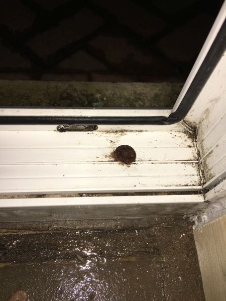 Photo 21-12-2015, 7 19 06 p.m..jpg