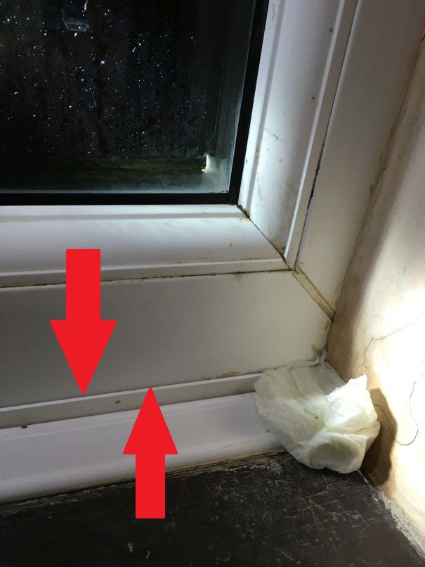 Photo 31-01-2016, 6 08 41 pm.jpg