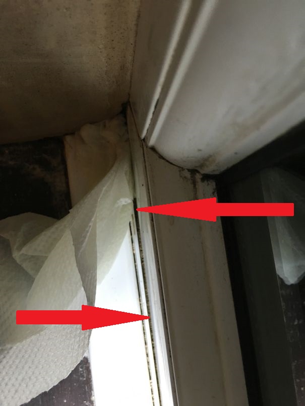 Photo 31-01-2016, 6 09 14 pm.jpg