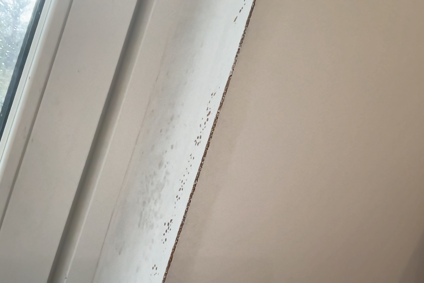 Photo on 12-29-23 at 12.01 #2.jpg