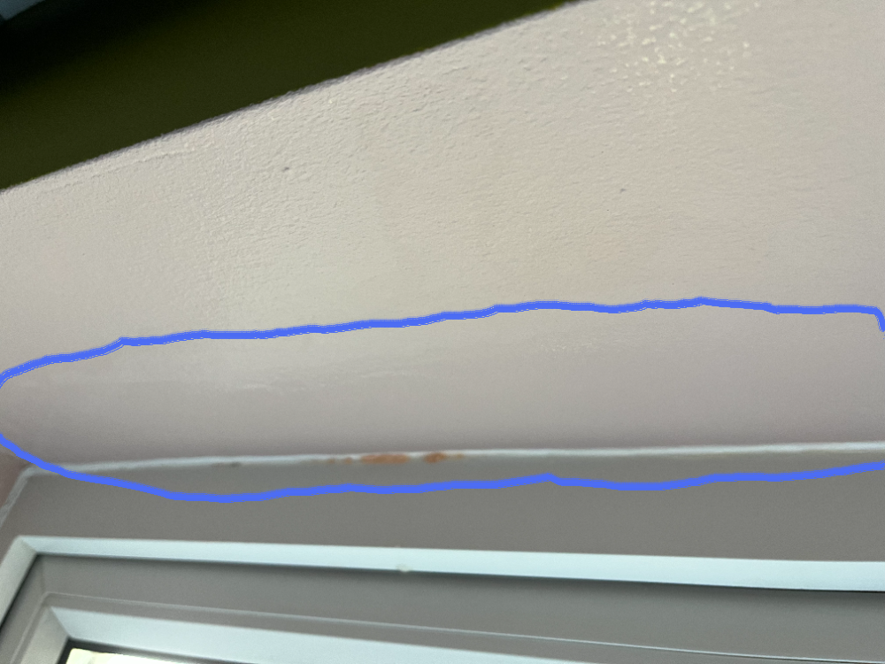 pixil-frame-0 (5).png