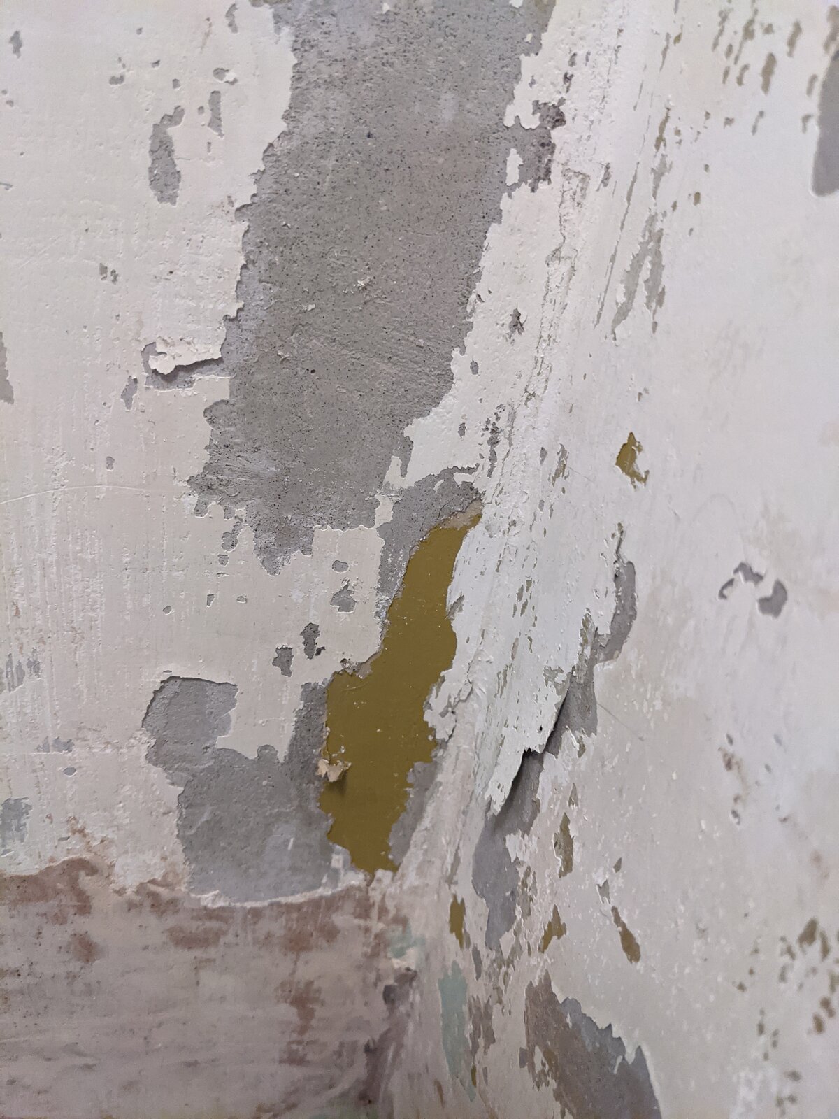 Rough plaster after stripping all paper. | DIYnot Forums