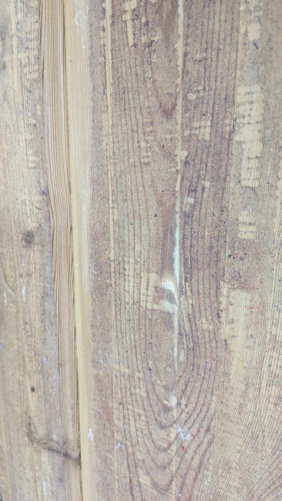 PXL_20240707_115231391 - Copy.jpg