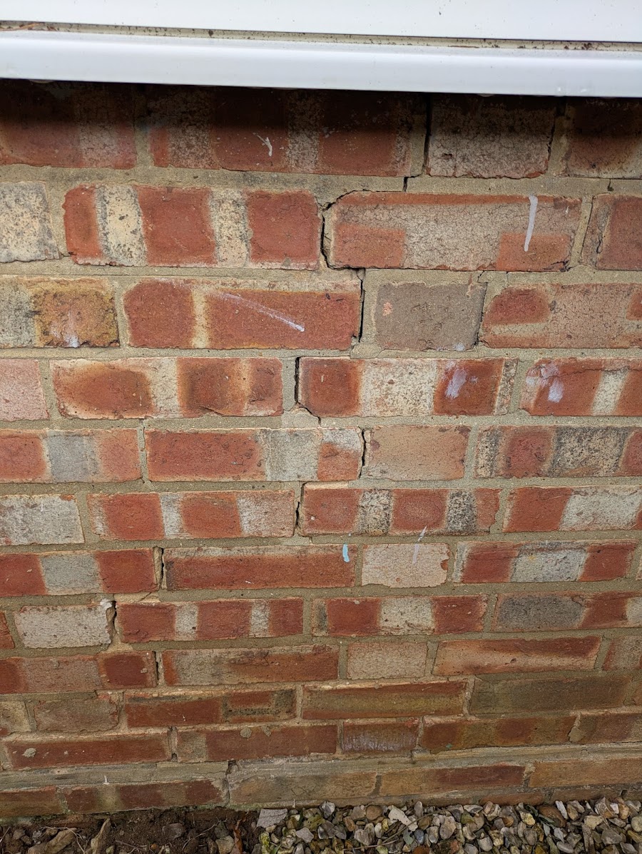 PXL_20250216_112849559.MP (1).jpg