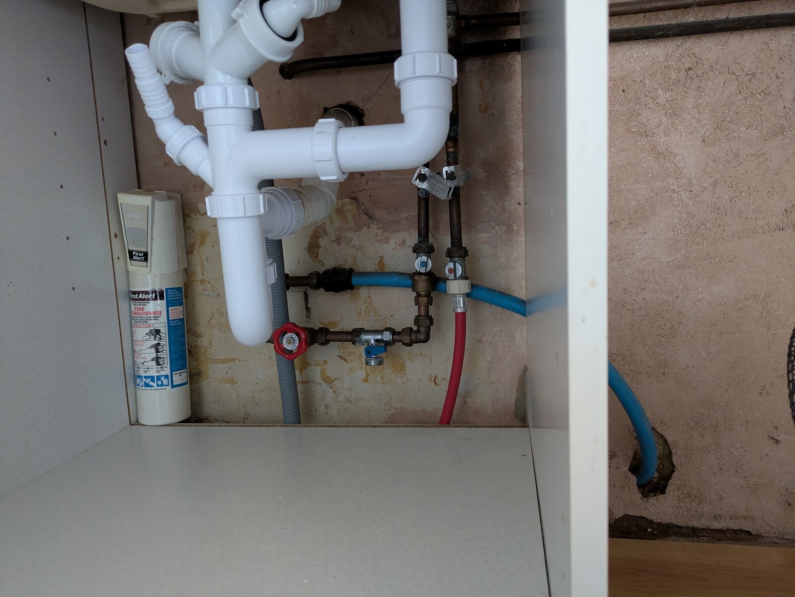 PXL_20250413_142730217 (1).jpg