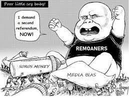 remoaner.jpg