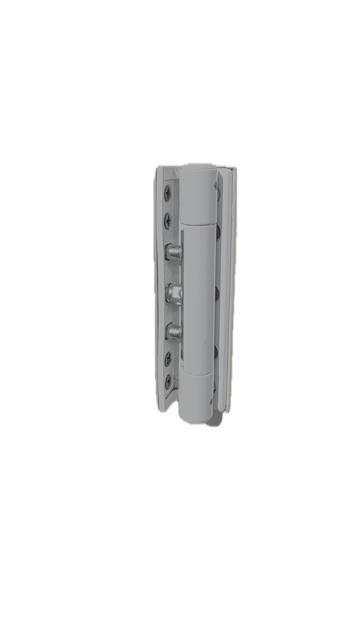 Replaced-hinge.png