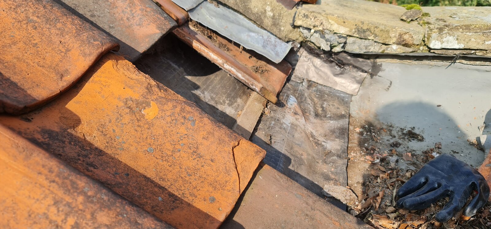 Roof 20230926_135903.jpg