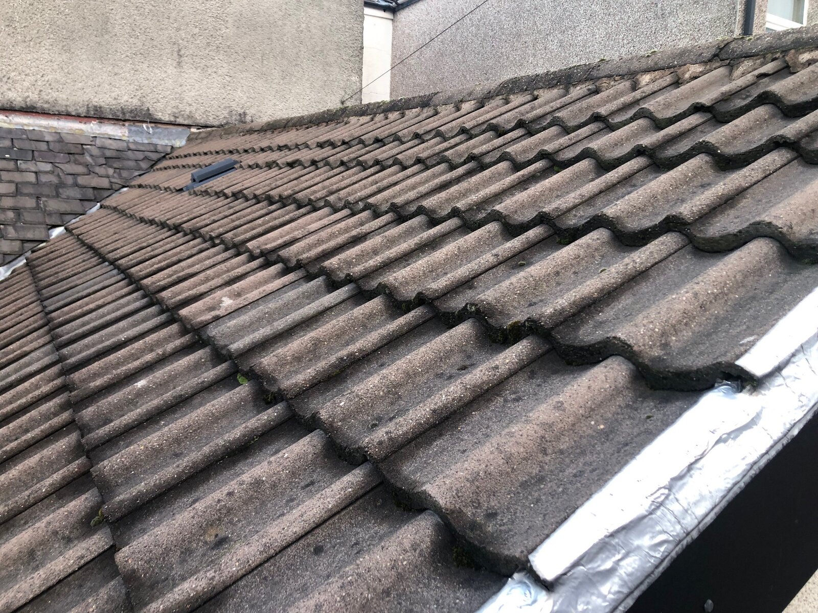 Roof 4.jpg