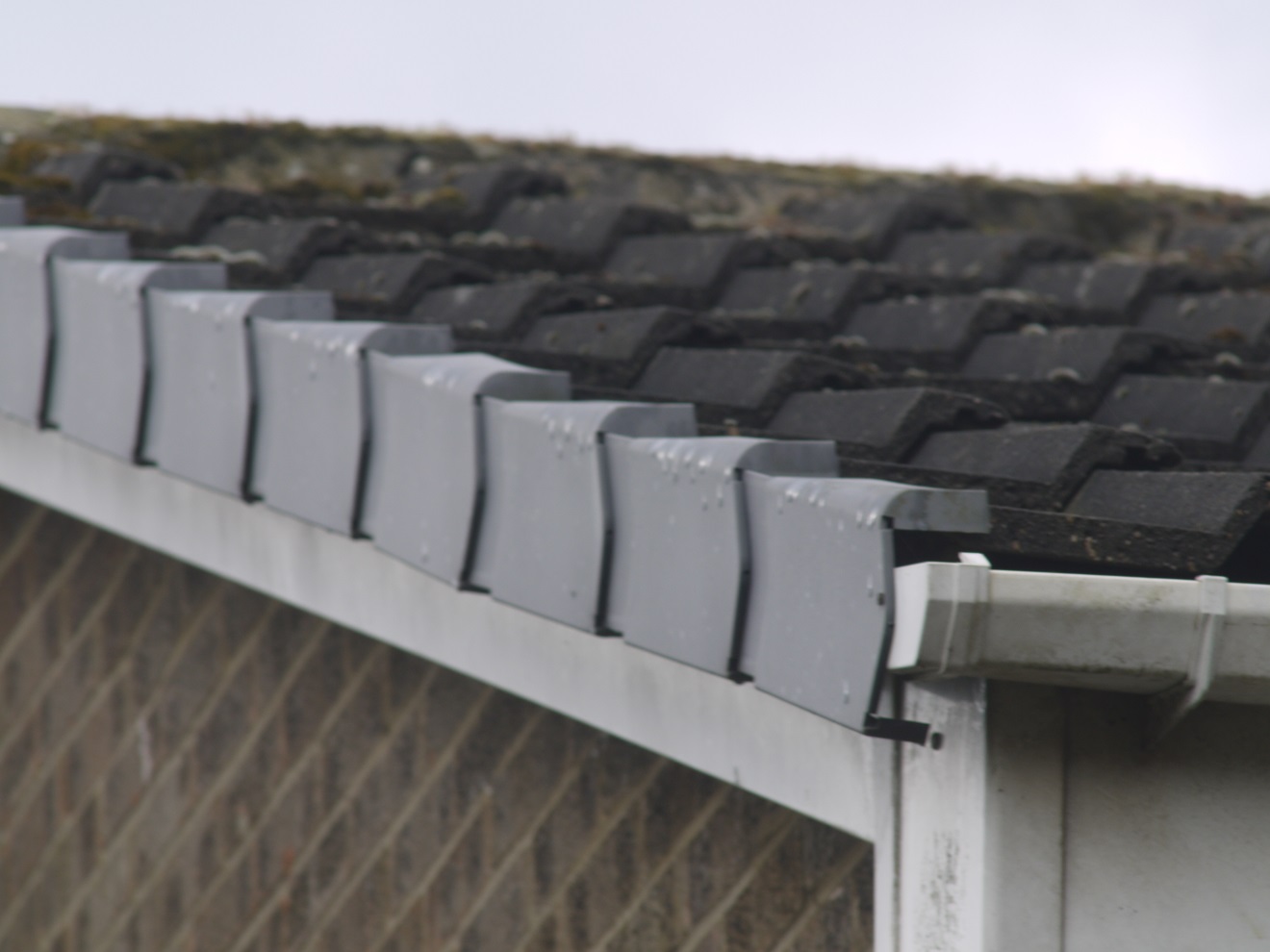 Roof other gable one.jpg