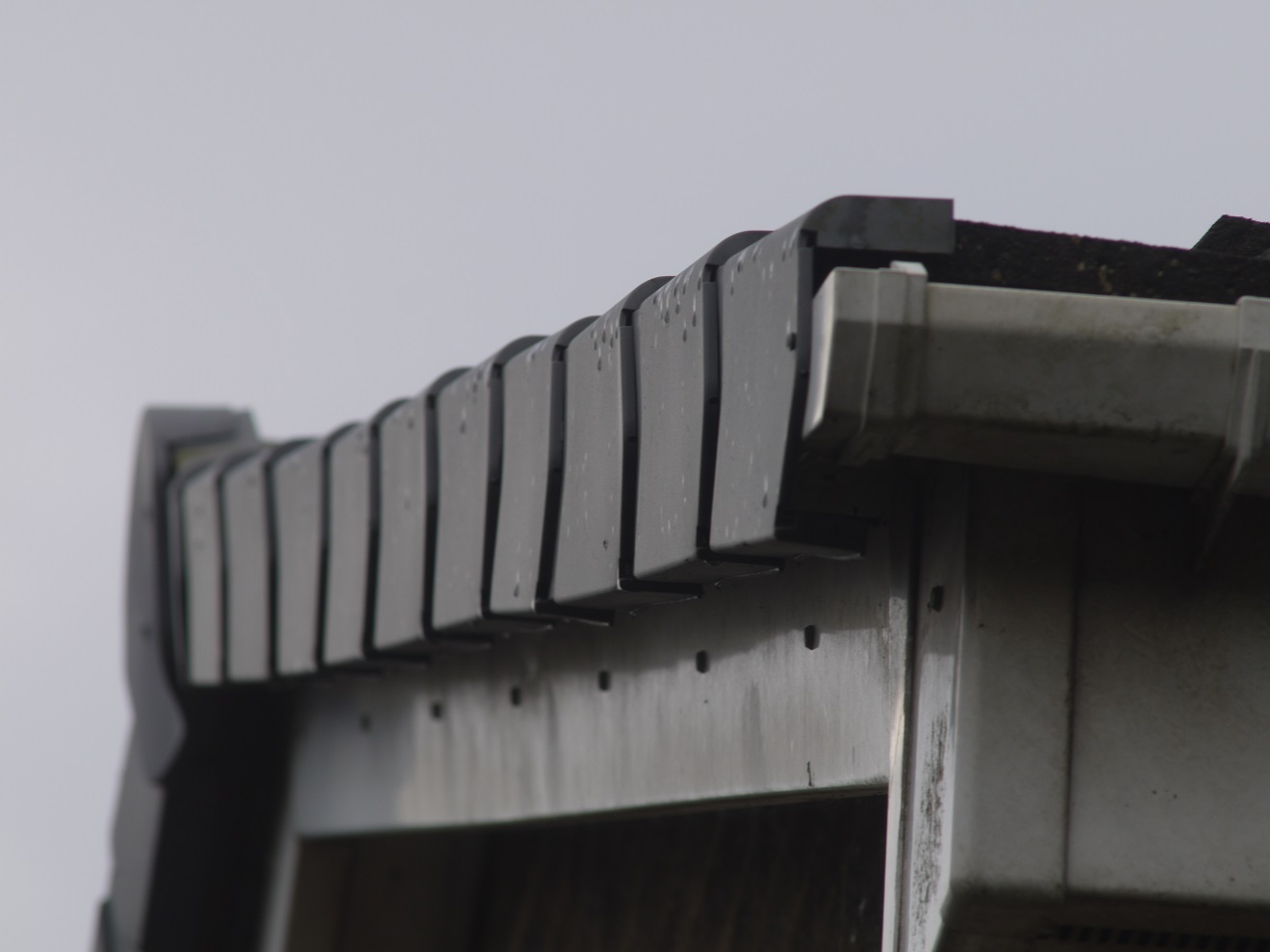 Roof other gable two.jpg