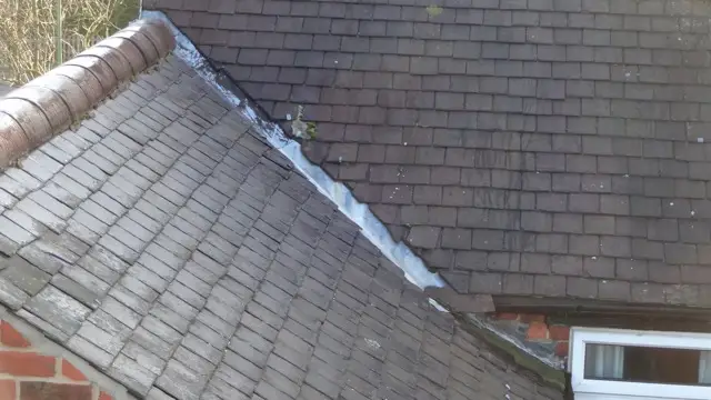 roof2.png