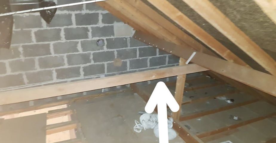 roof3.jpg