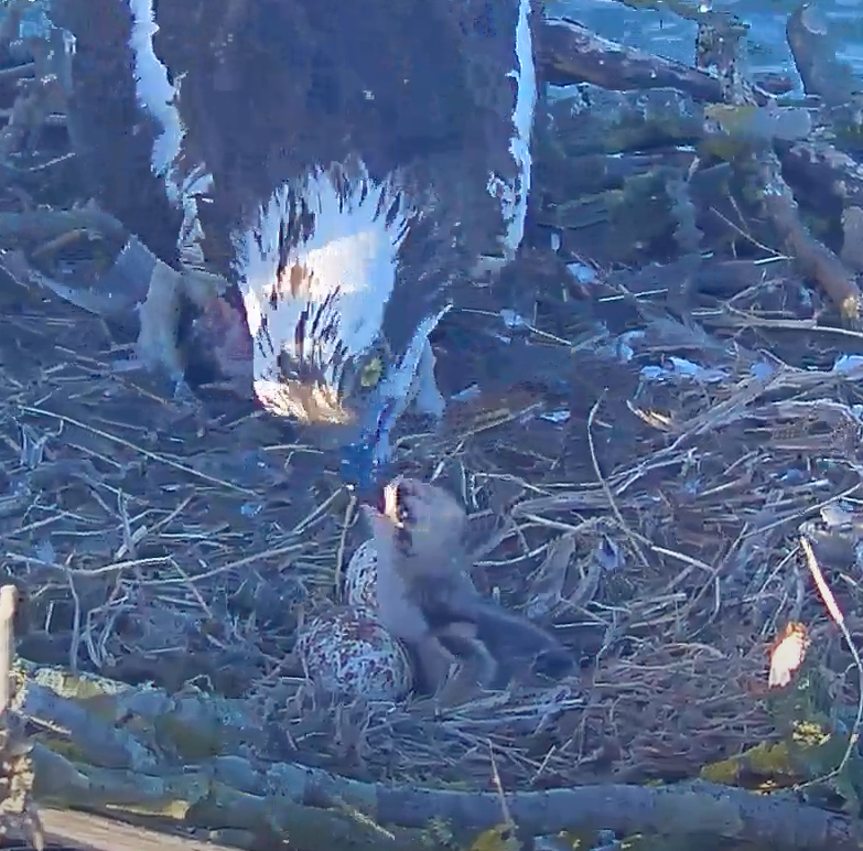 Screen Shot 2021-05-10 at 20.15.34.png