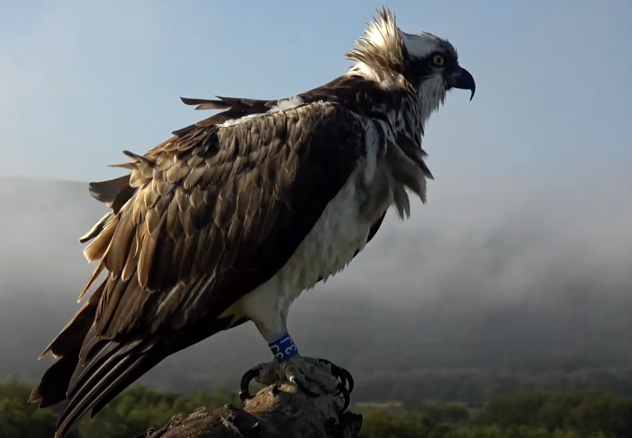 Screen Shot 2021-07-16 at 08.17.58.png