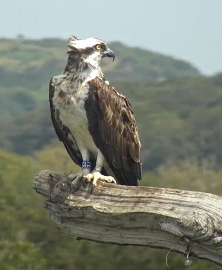 Screen Shot 2021-07-25 at 19.30.00.png