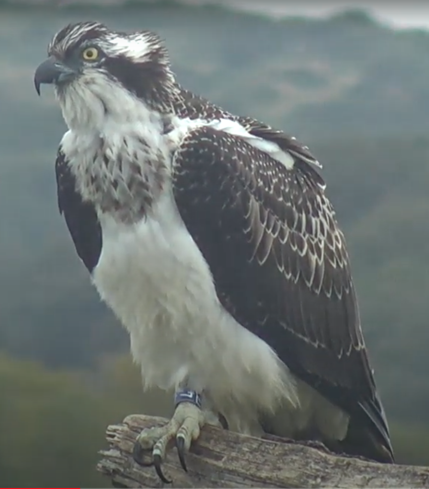 Screen Shot 2021-08-14 at 17.08.26.png