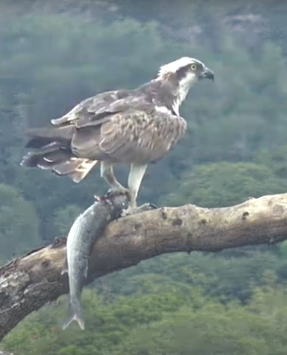 Screen Shot 2021-08-23 at 12.24.53.png