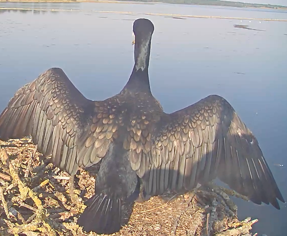 Screen Shot 2021-09-07 at 16.58.29.png