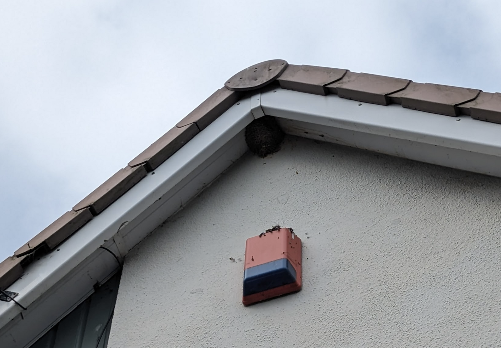 Screen Shot 2023-09-10 at 21.32.34.png