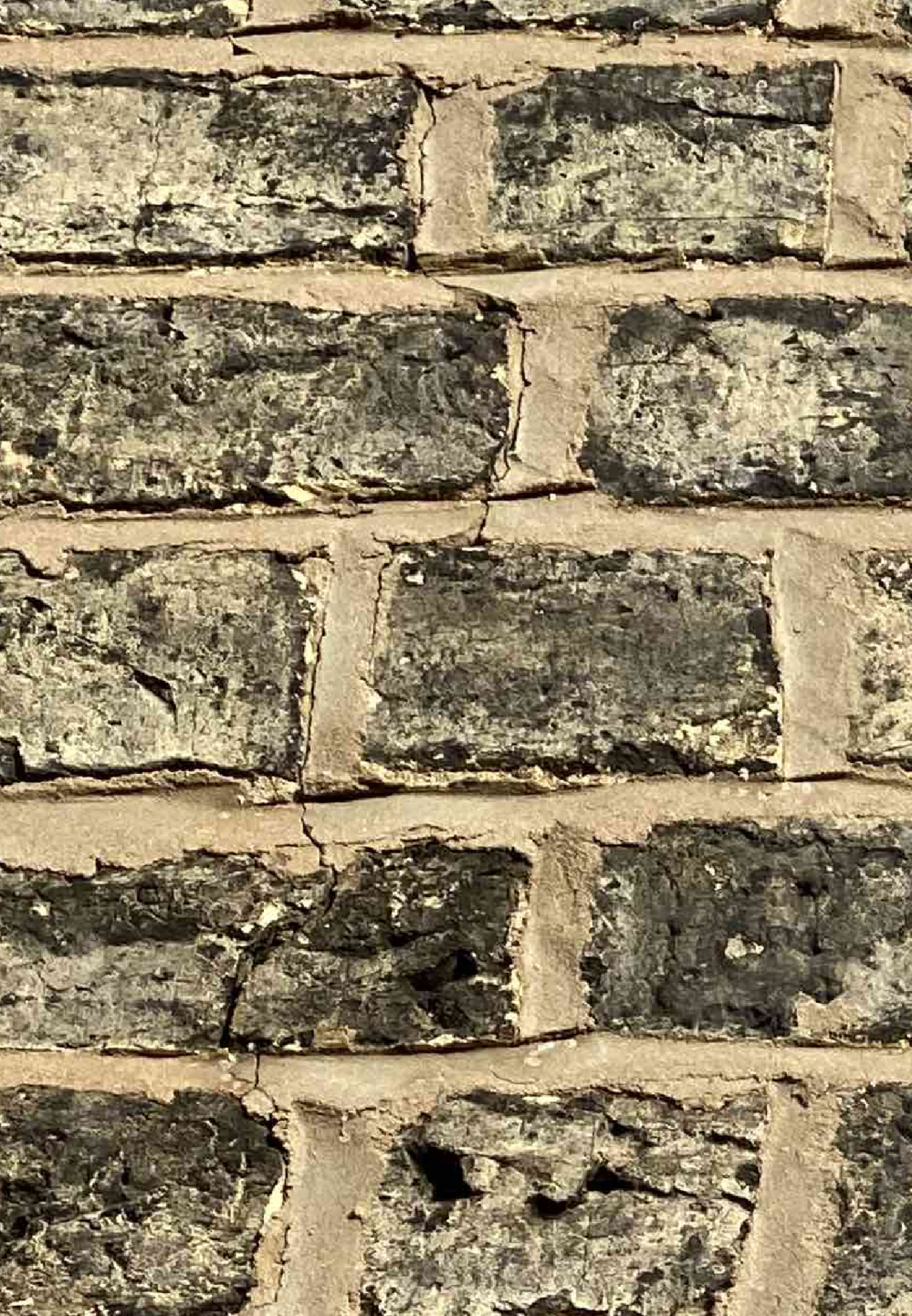 Screenshot 2022-02-10 at 18.49.37.png