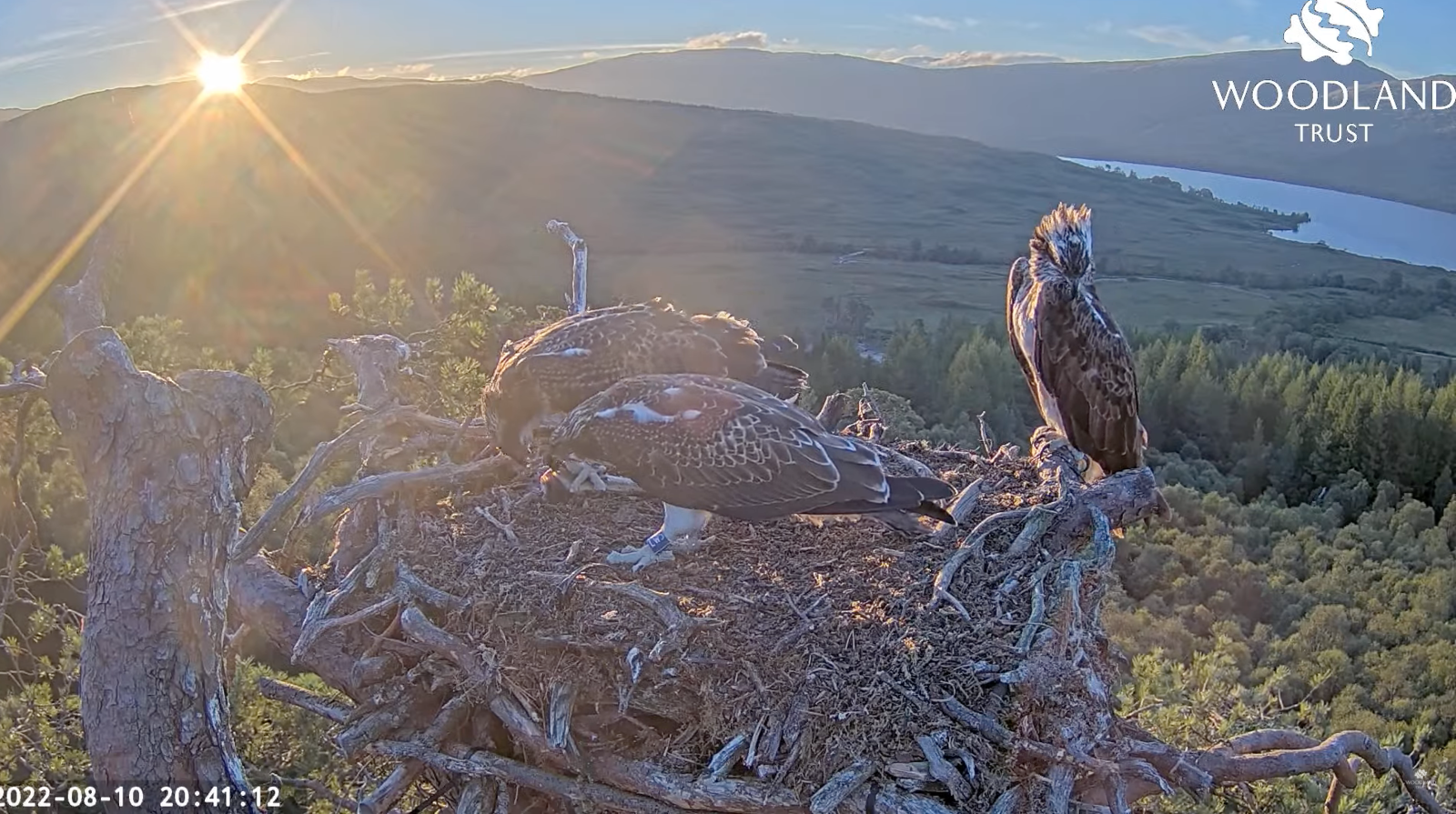 Screenshot 2022-08-10 at 20.41.34.png