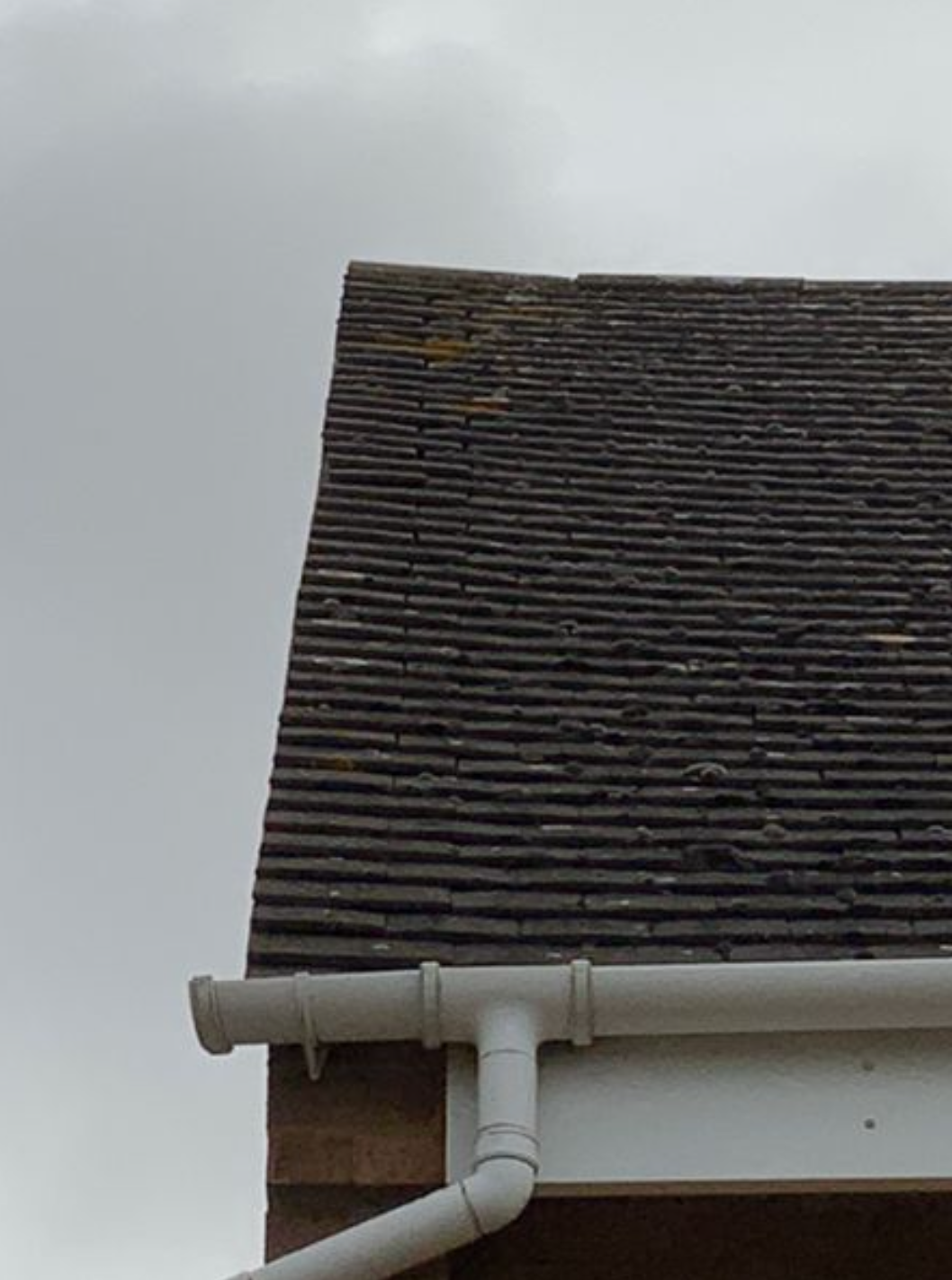 Screenshot 2022-10-23 at 18.38.17.png